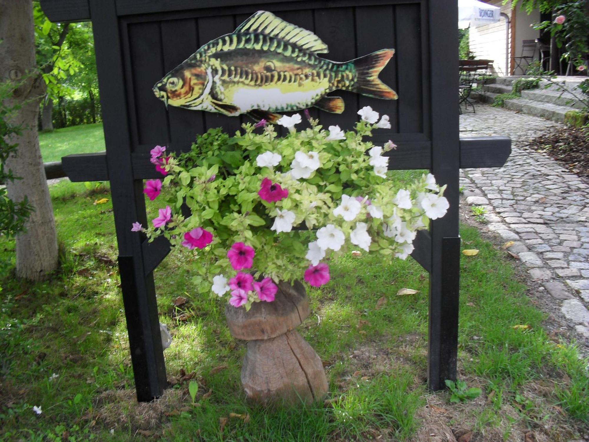 Fischerhof クリミッチャウ 部屋 写真